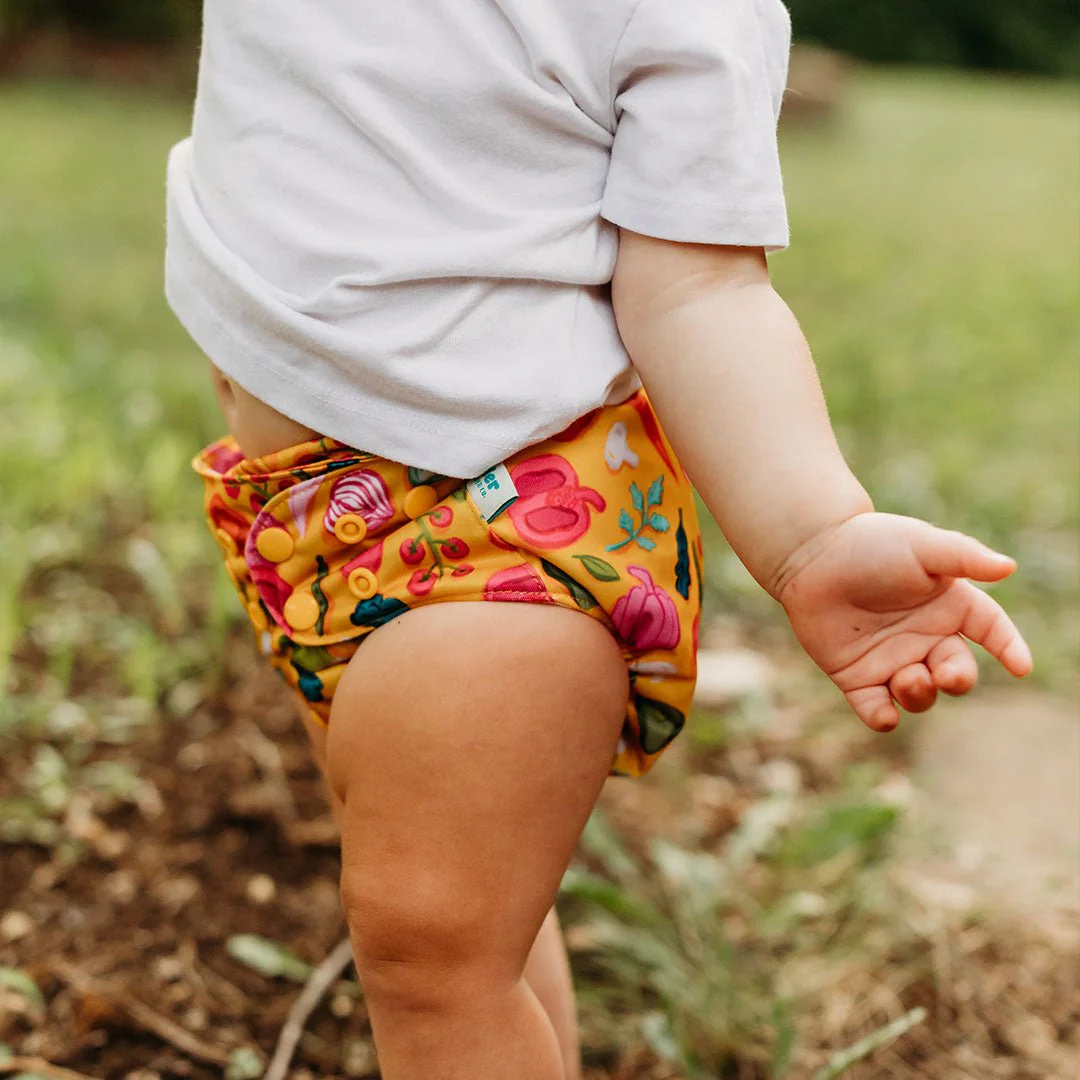 Food: Essentials Pocket Cloth Diaper with Athletic Wicking Jersey, Grows with your Baby - Image 27