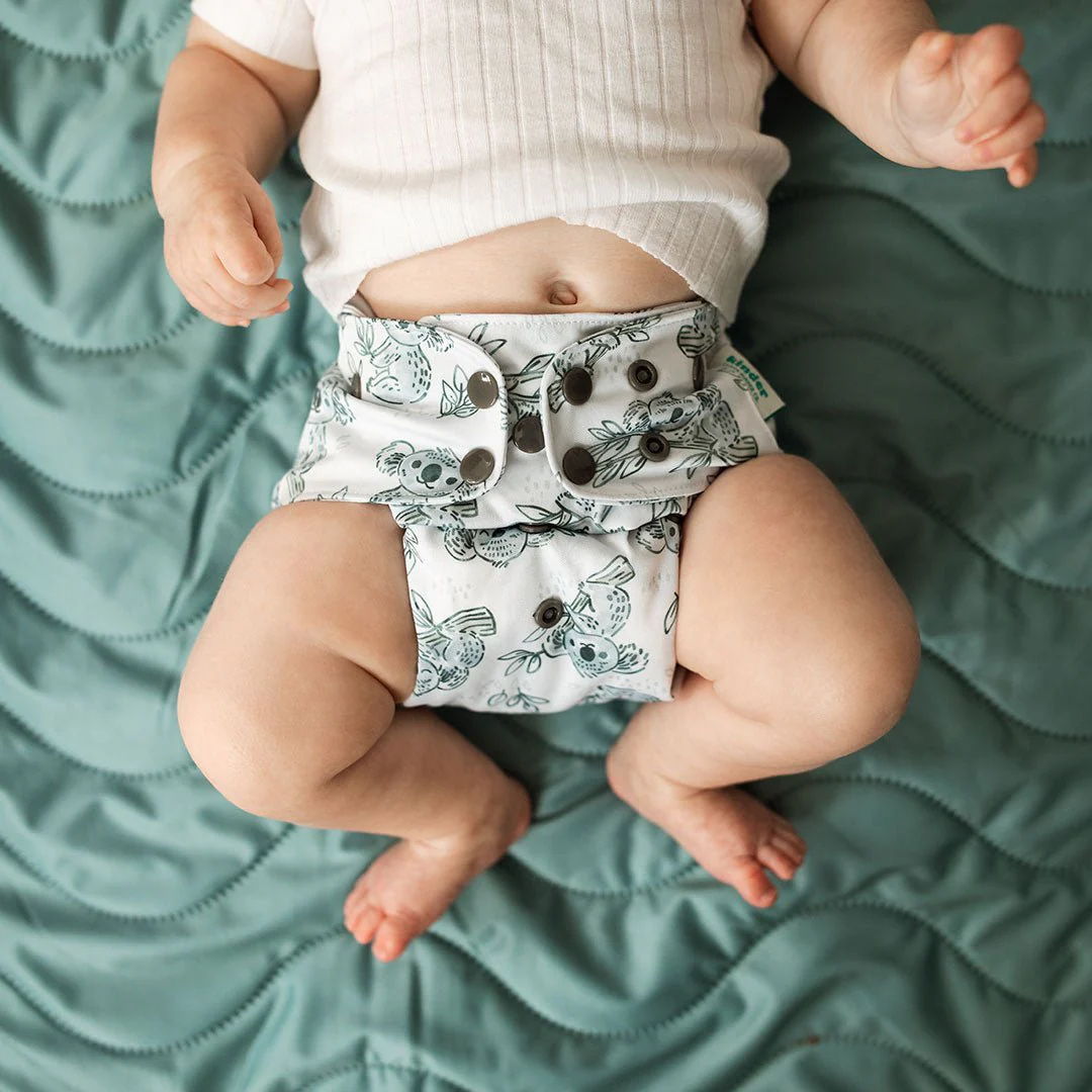 Animals and Insects: Essentials Pocket Cloth Diaper with Athletic Wicking Jersey, Grows with your Baby - Image 79