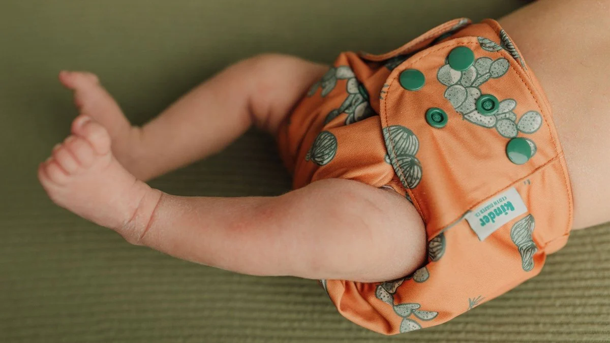 Nature: Essentials Pocket Cloth Diaper with Athletic Wicking Jersey, Grows with your Baby - Image 37