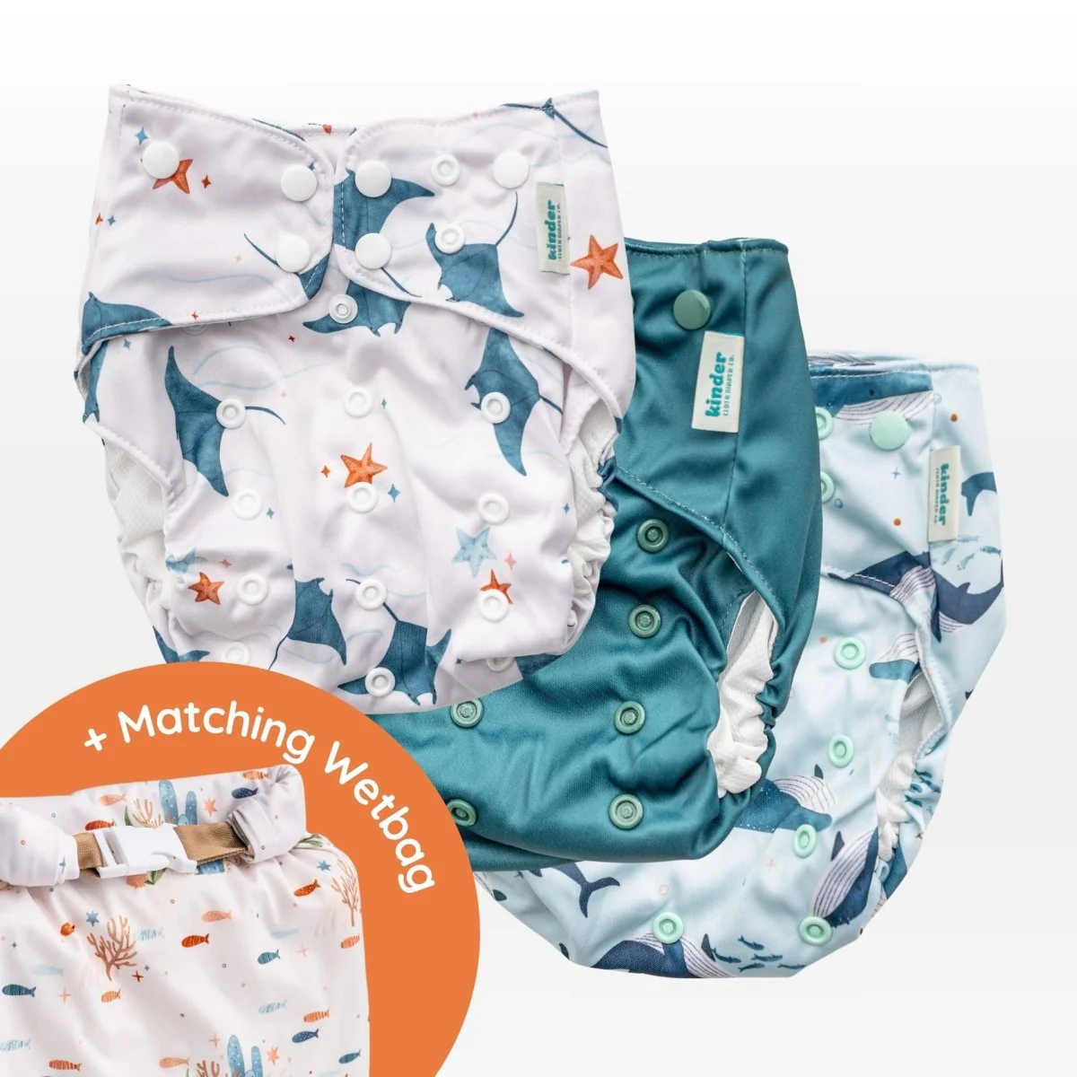 Whaley Fun Swim Diaper 3-Pack Pool Kit